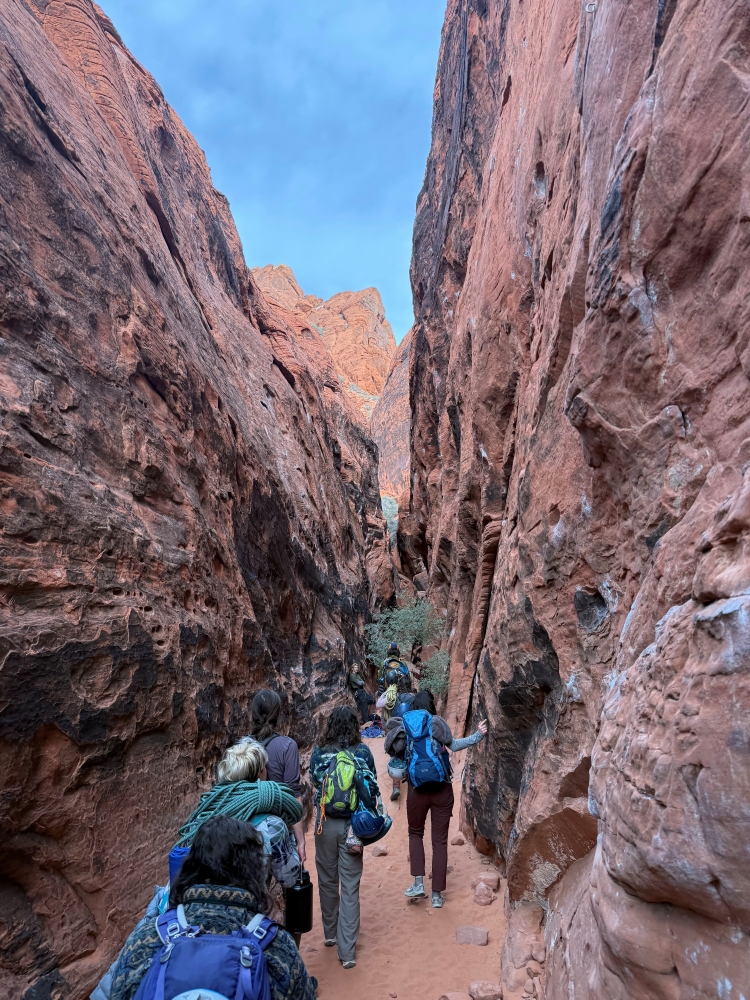 Group of rock climbers from behind, hiking through red rocks canyon to crag.